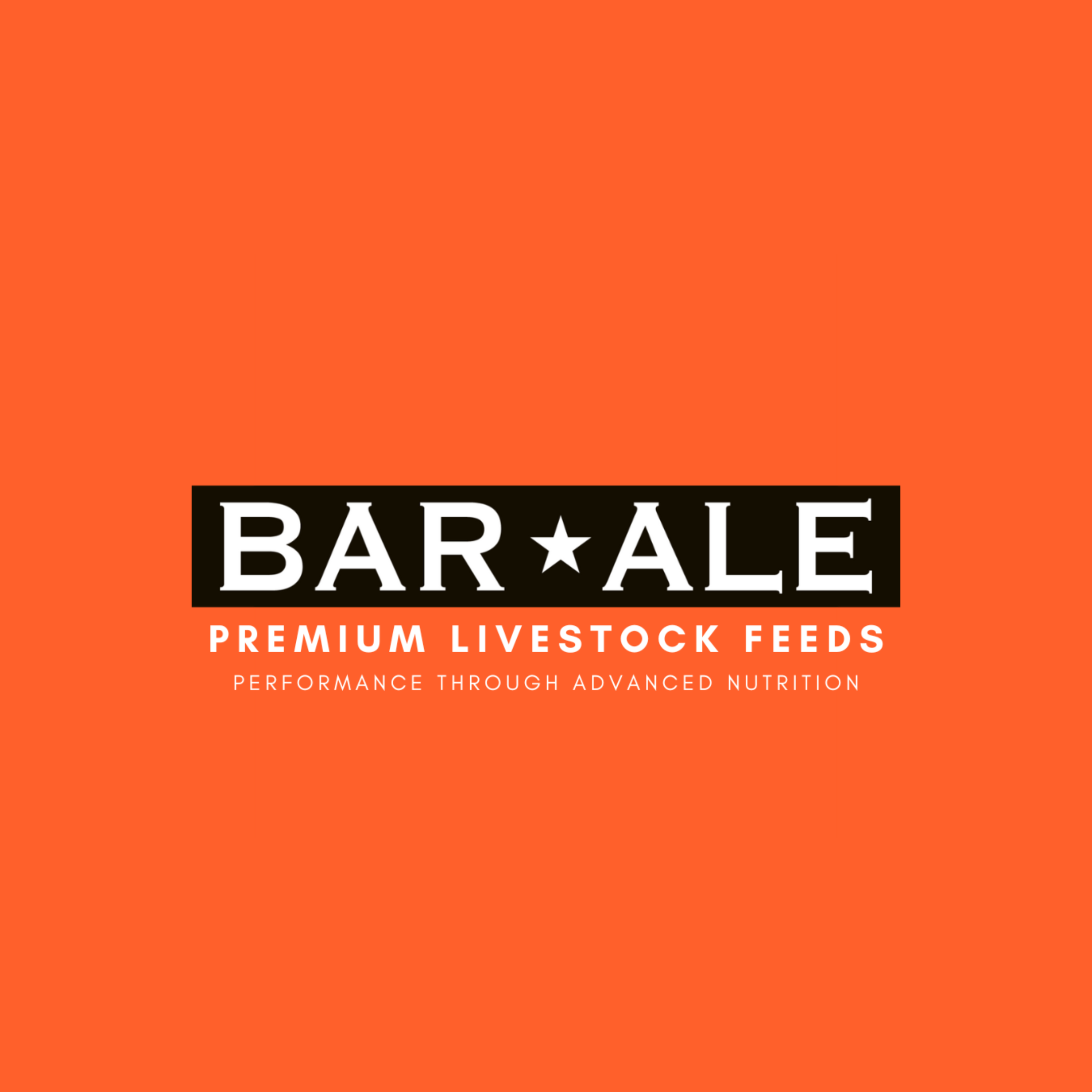 BAR ALE Logo